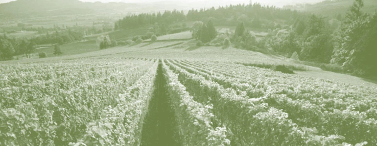 Image for Chehalem Valley Chamber of Commerce