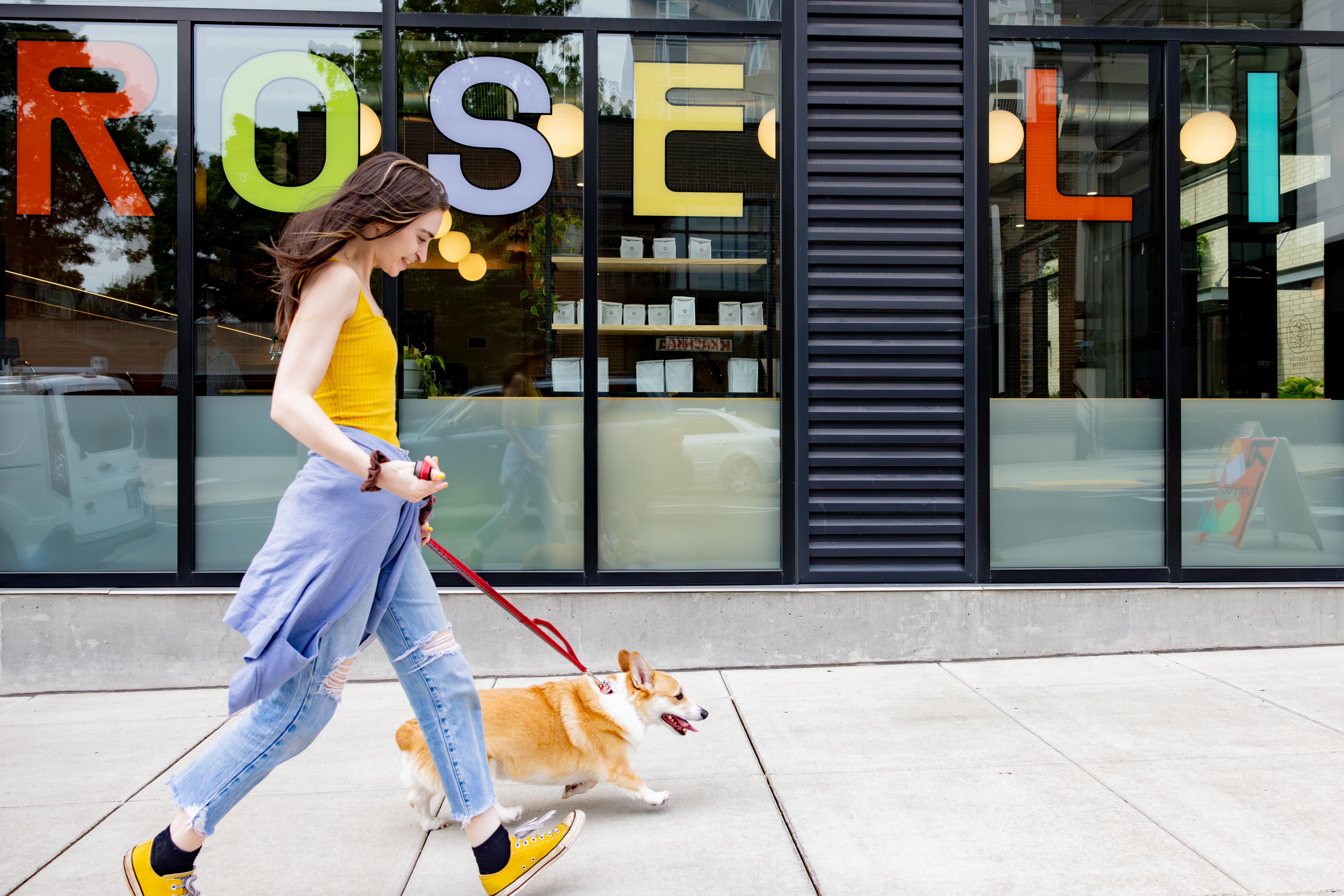 Image for Roseline Coffee - Goat Blocks