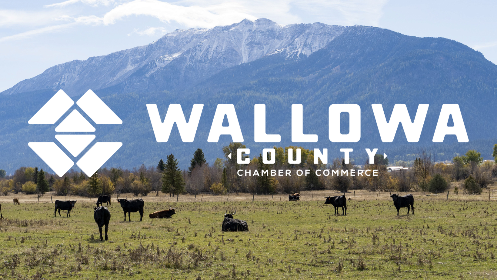 Image for Wallowa County Chamber of Commerce