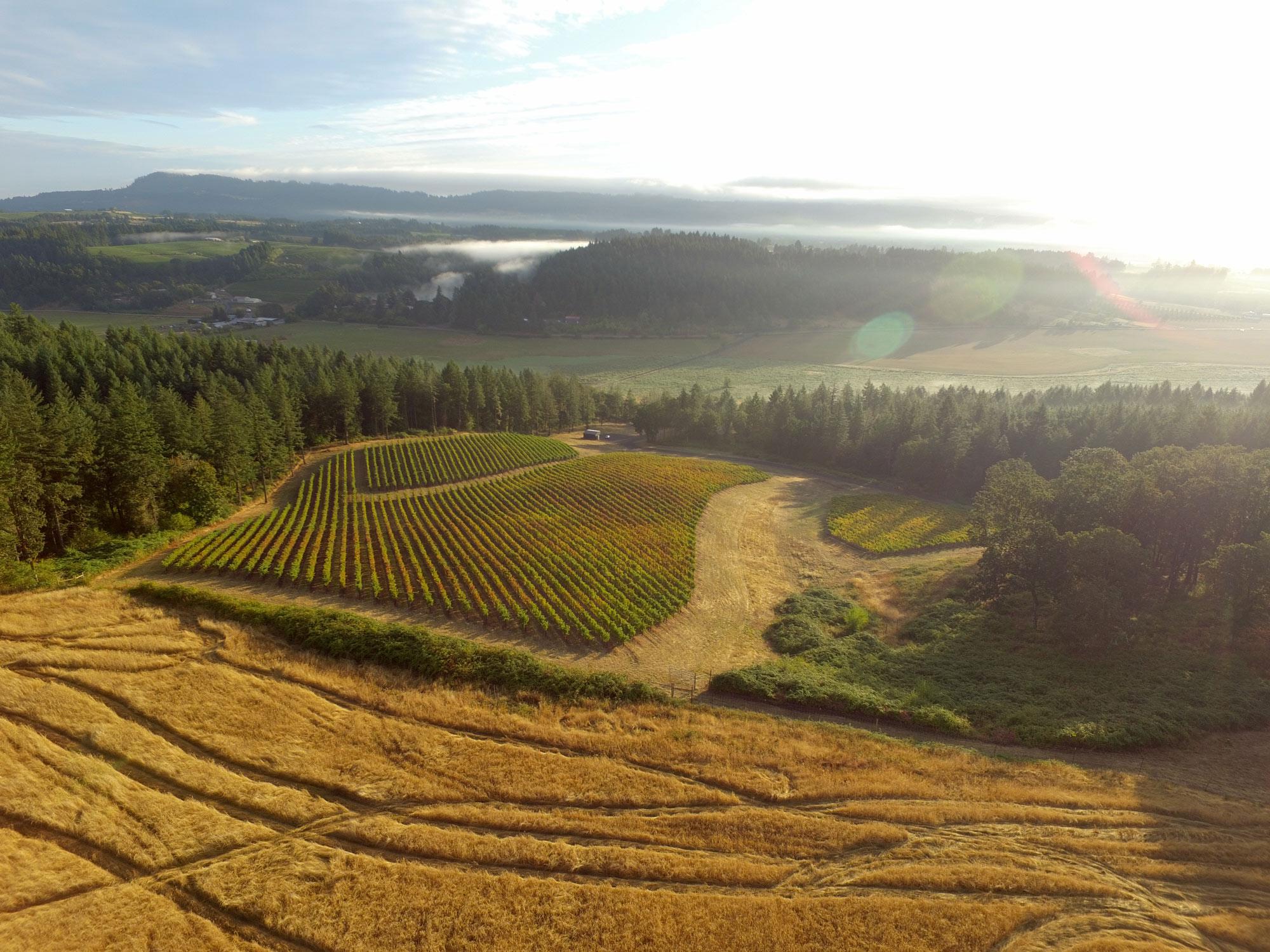 Image for North Valley Vineyards