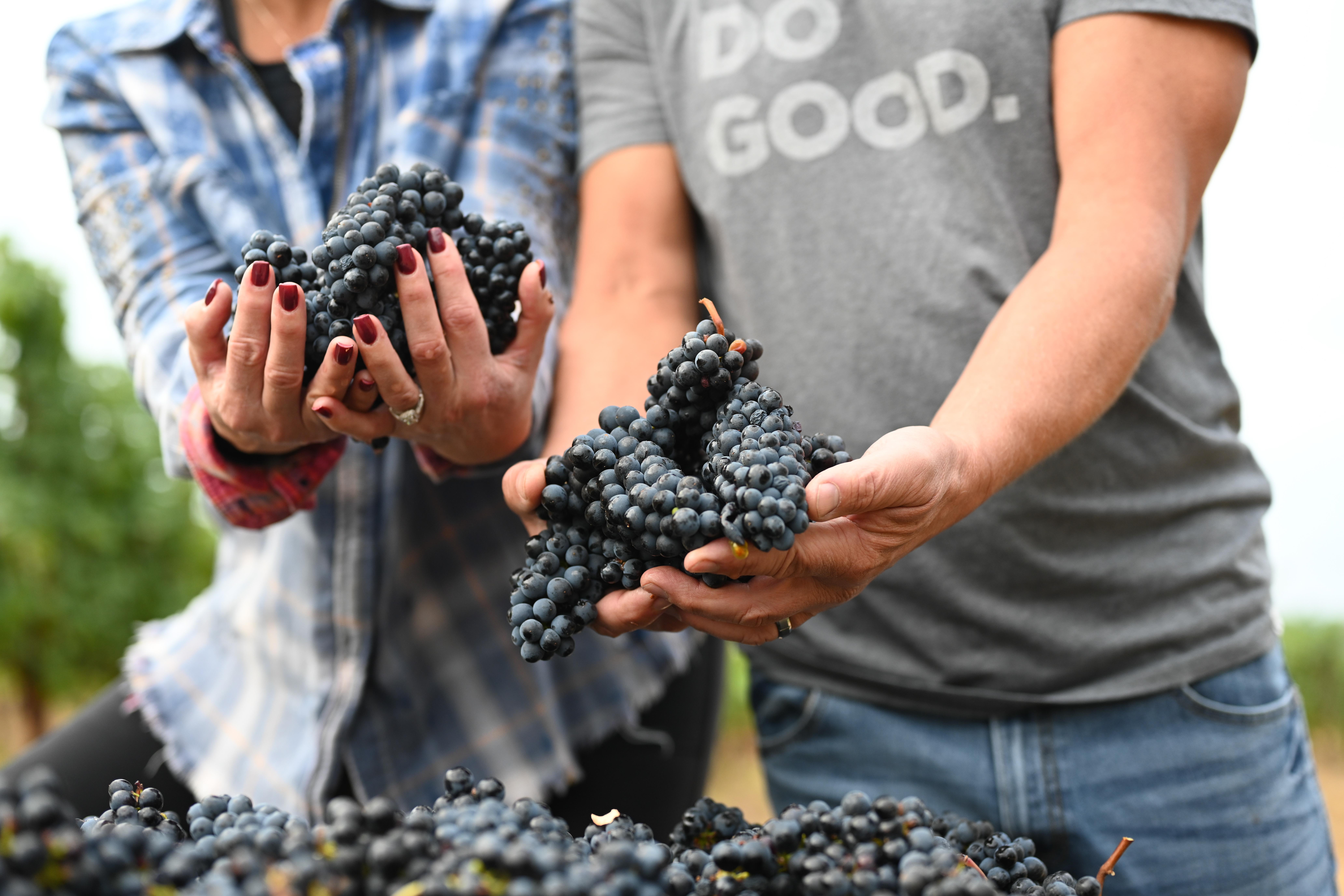 Image for Anacréon Winery