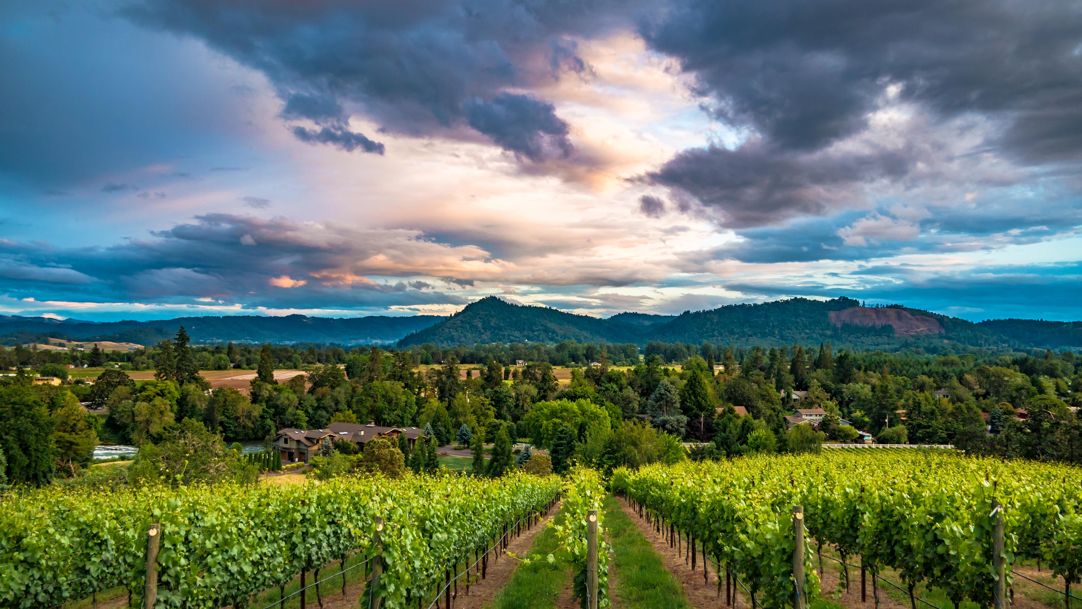 Image for Cooper Ridge Vineyard