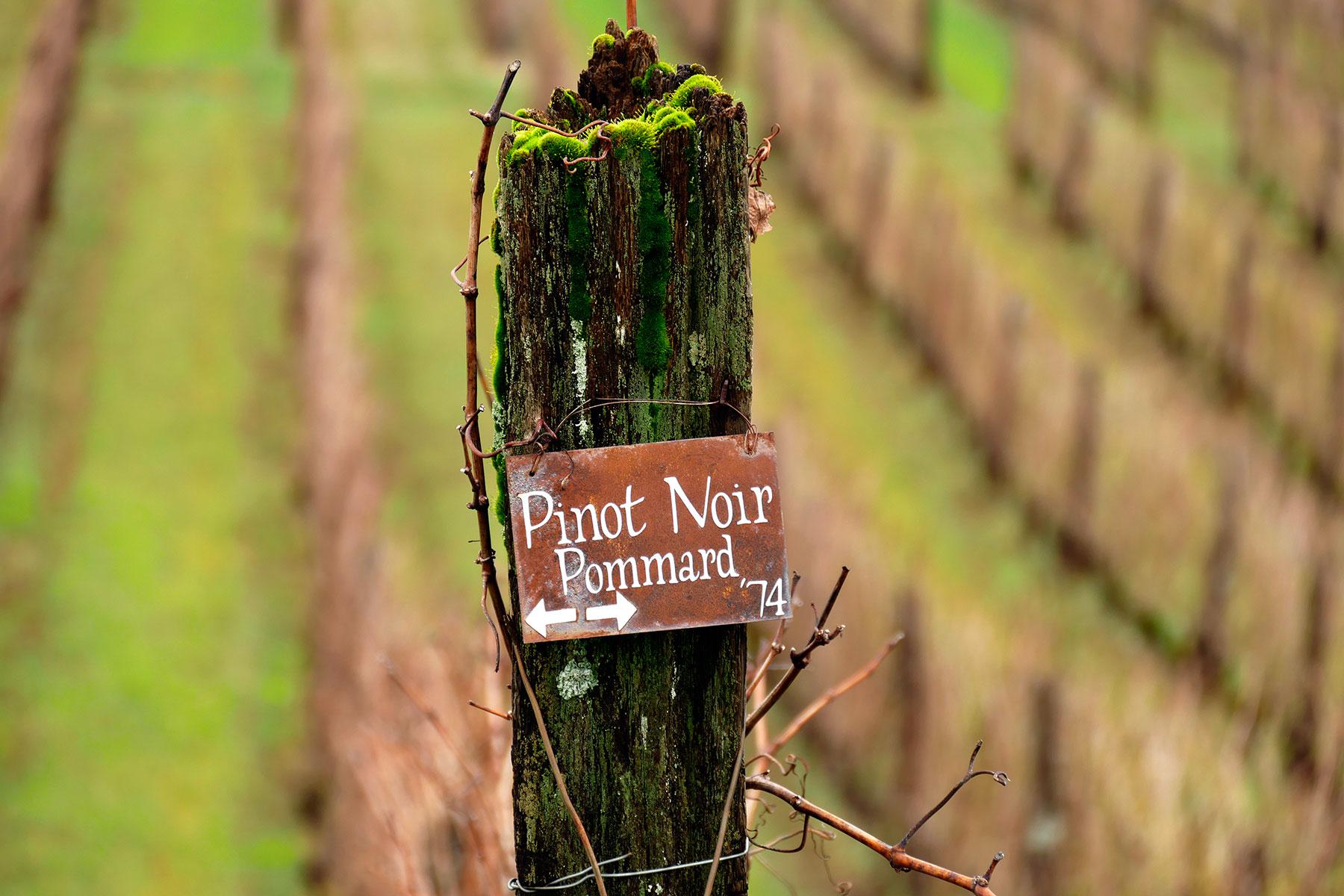 fence post marker in vineyard noting location of Pinot Noir Pommard