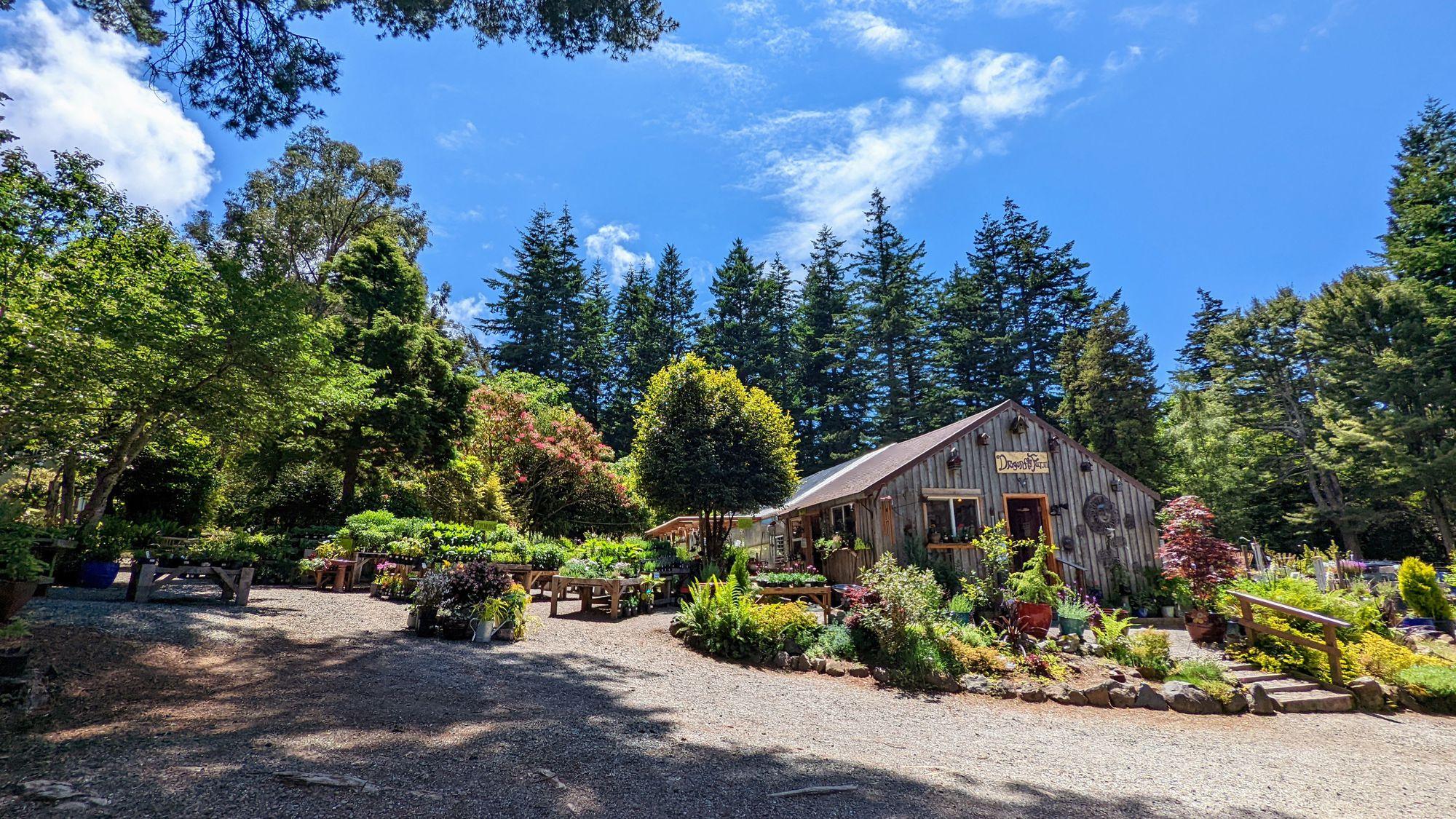 Image for Dragonfly Farm & Nursery