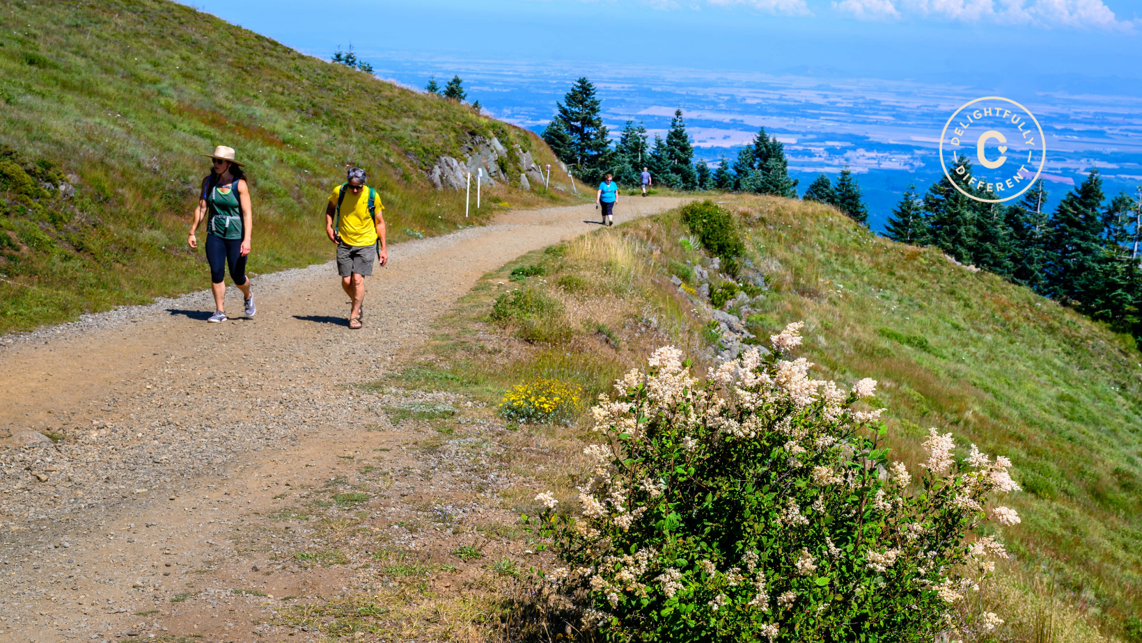 Image for Visit Corvallis