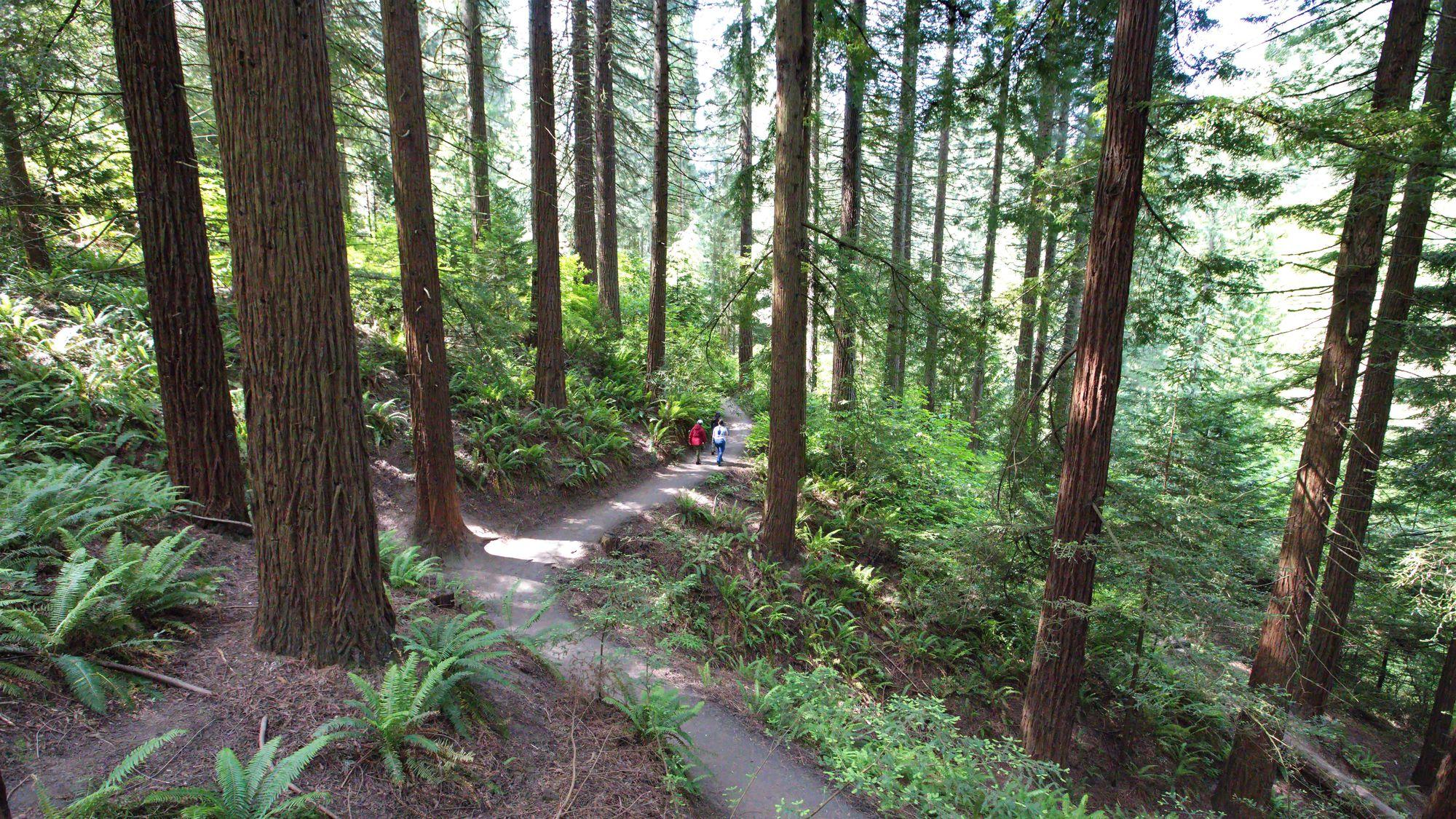 Image for Hoyt Arboretum