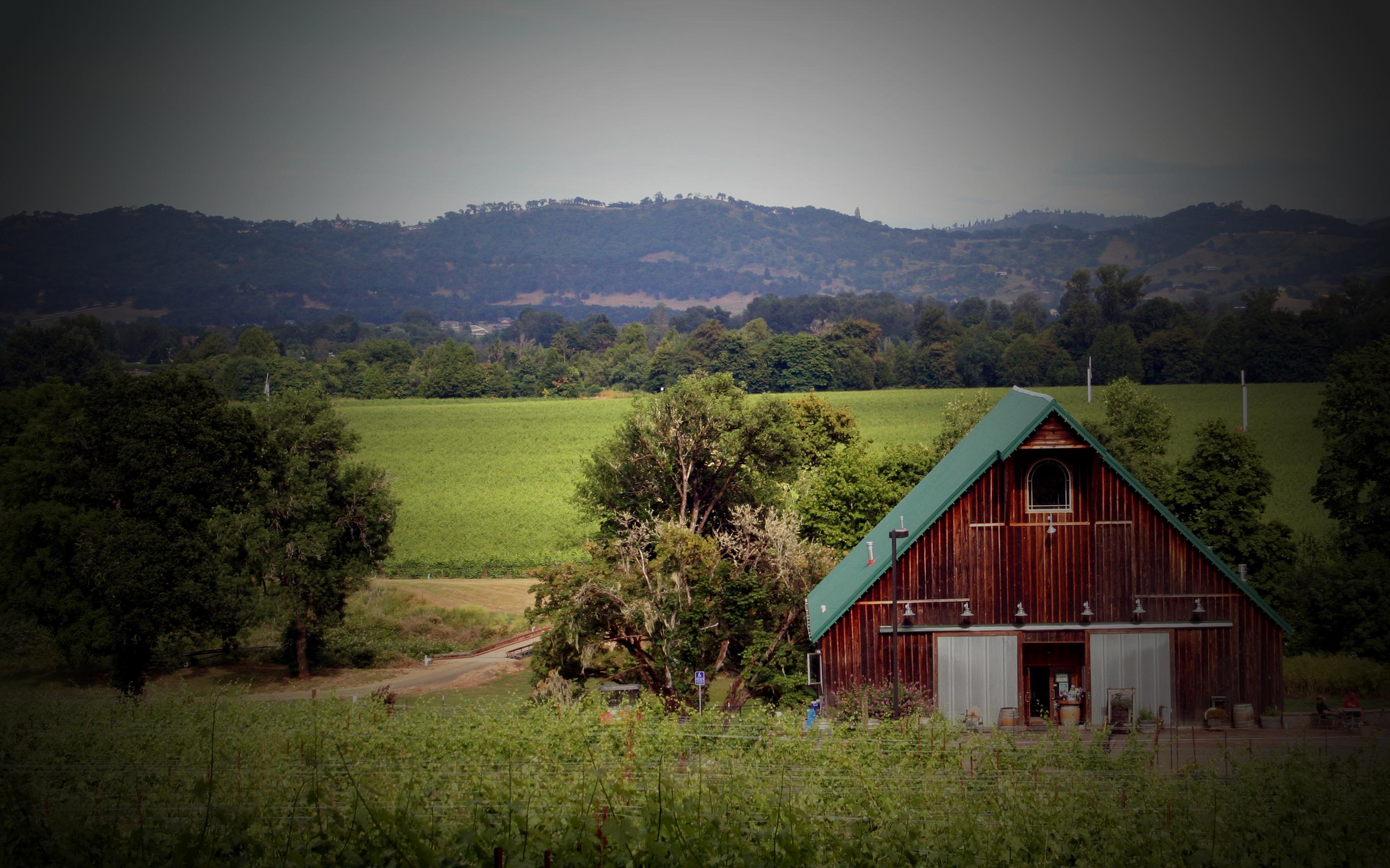 Image for Melrose Vineyards