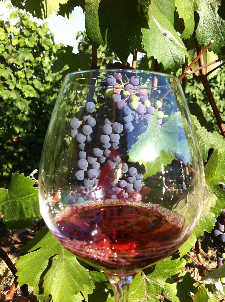 Image for Redhawk Vineyard & Winery