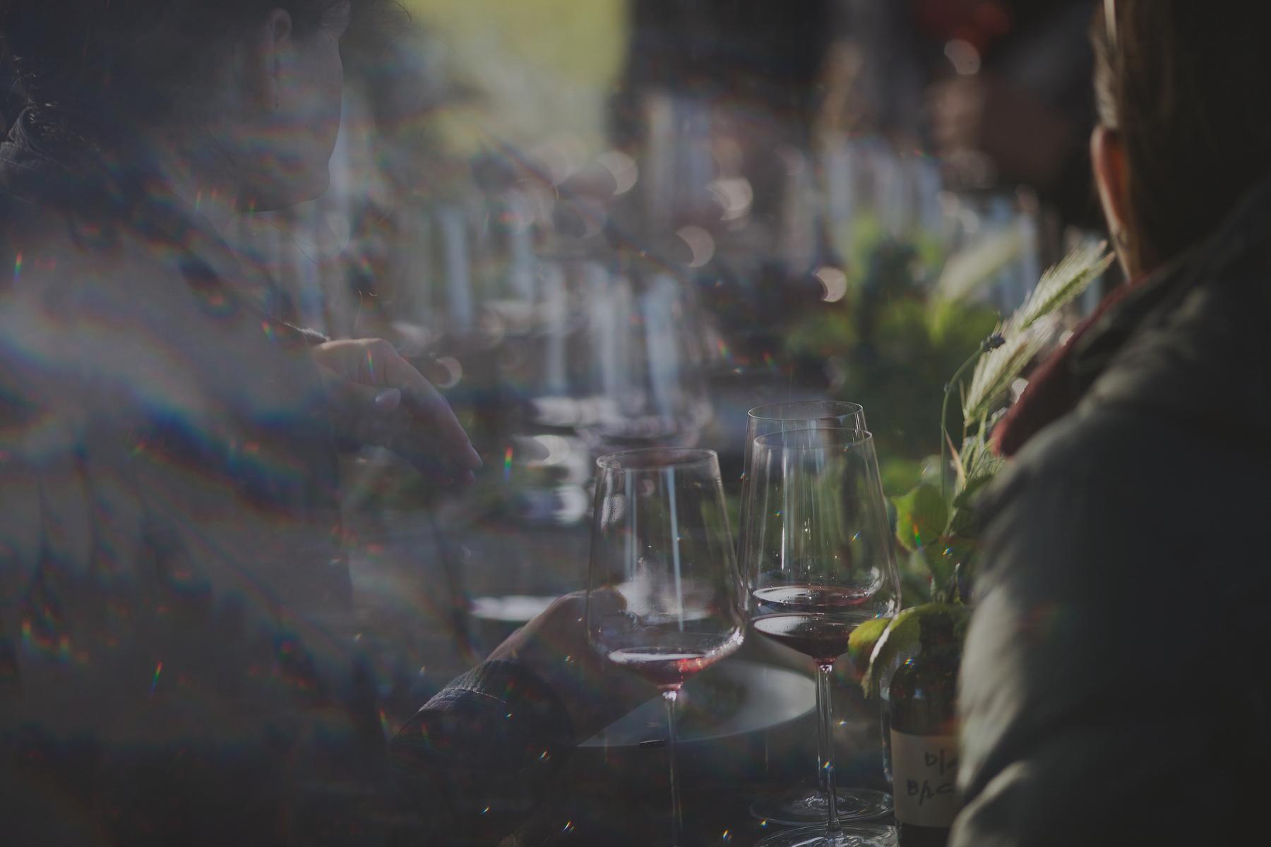 Image for Antica Terra