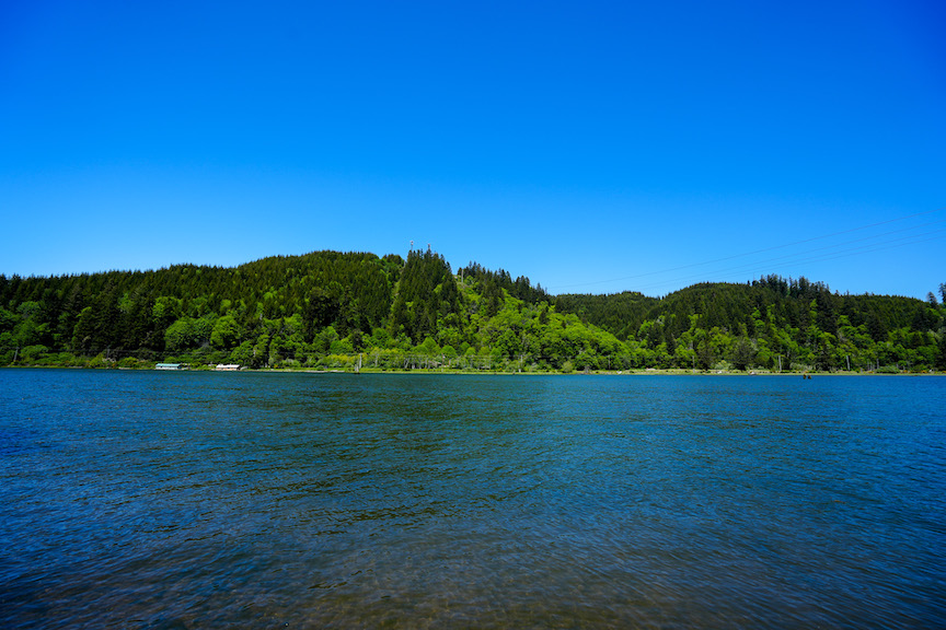 Water meets forest at Bolon Island Tideways State Corridor