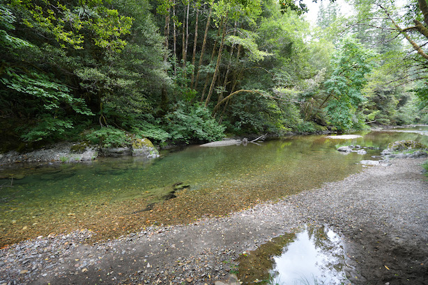 rocky river bed at Ludlum Campground