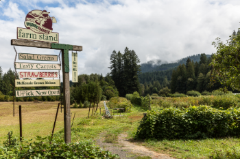 sign for farm stand