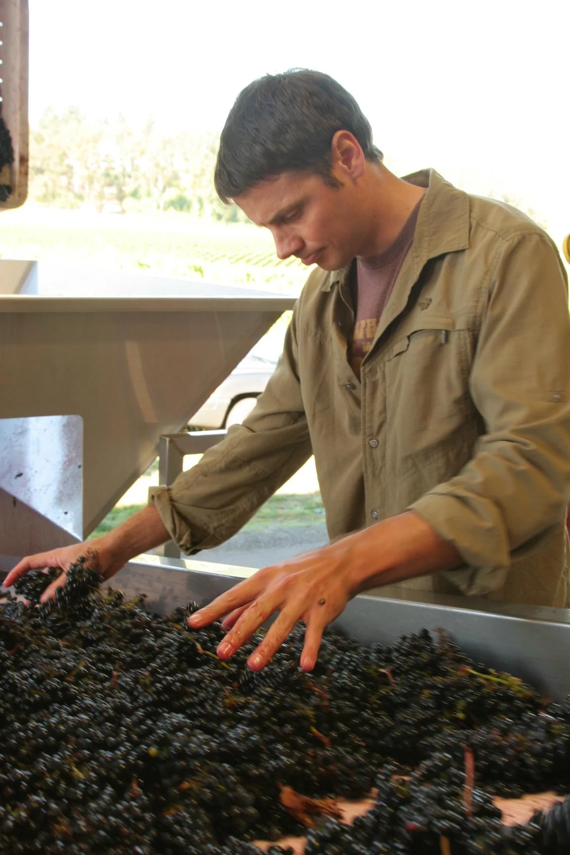 Image for The Portland Wine Bar and Winery Tasting Room