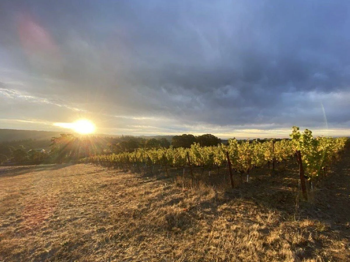 Image for The Portland Wine Bar and Winery Tasting Room