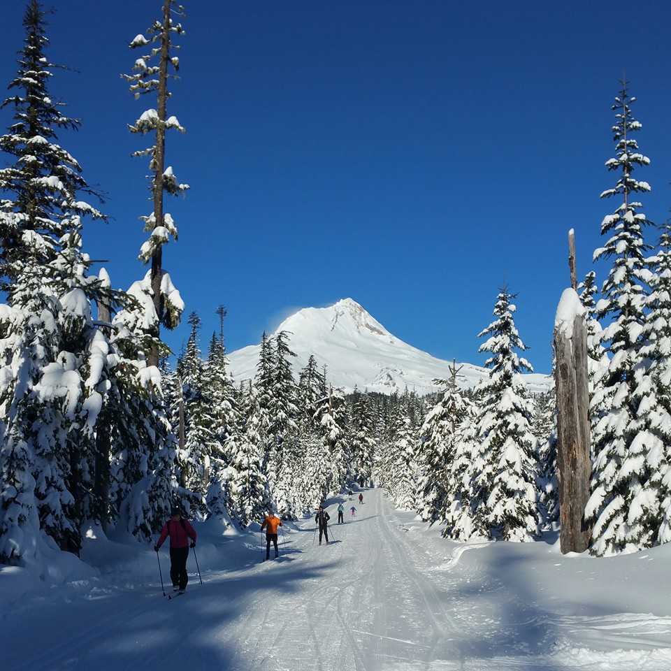 skiers on snow covered trail with mountain in background