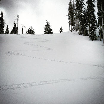 The Boundary Headwall at Willamette Pass.
