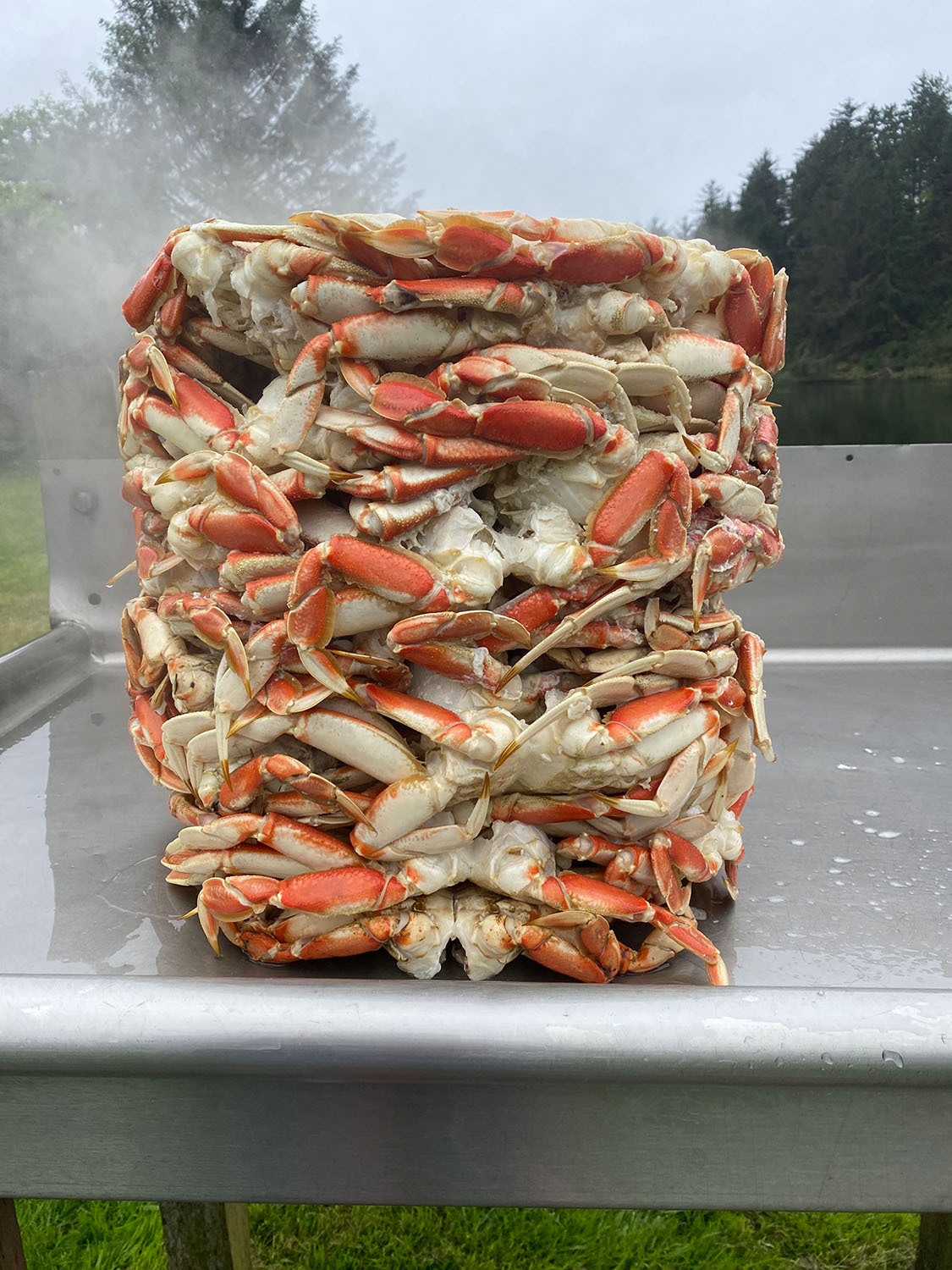 Steamed Dungeness Crab