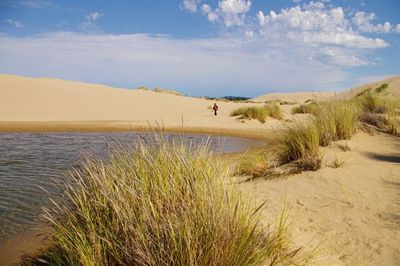 John Dellenback Dunes Trail.jpg