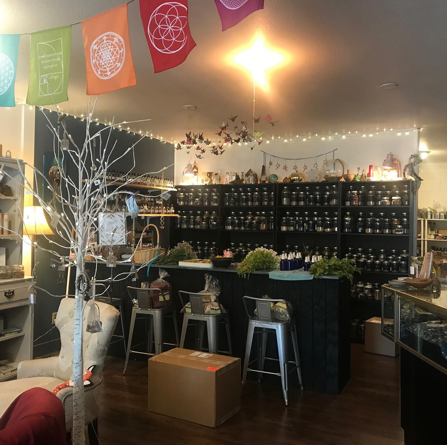 retail shop with bar, high stools and display of products in bottles behind bar