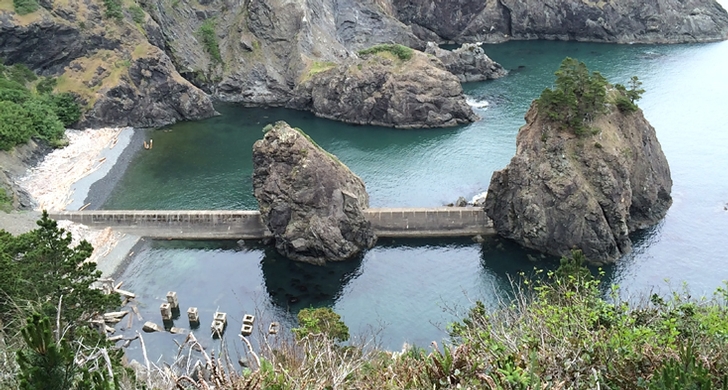 Port Orford Heads Hiking Trails.jpg