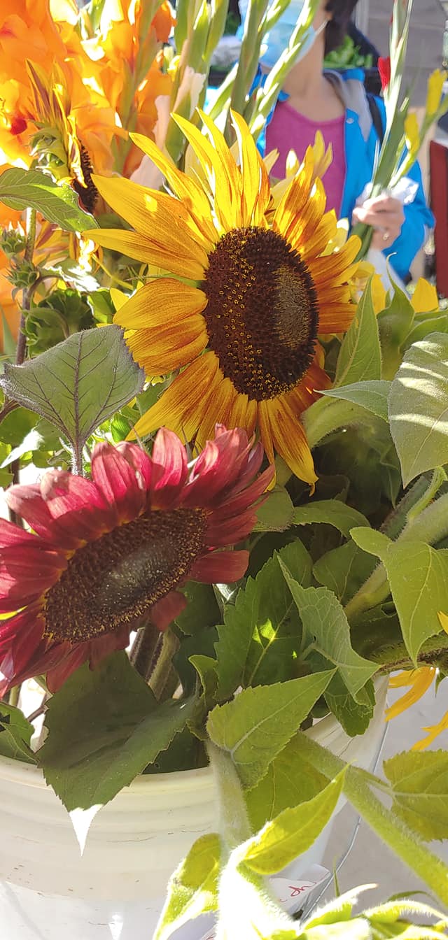 Brookings Harbor Farmers Market.jpg
