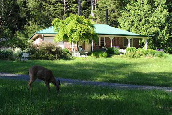 Cozy Cattail Vacation Rentals.jpg