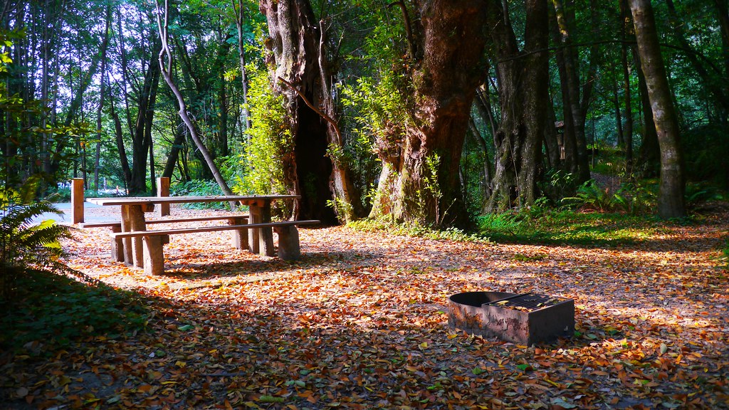 Alfred A. Loeb State Park.jpg