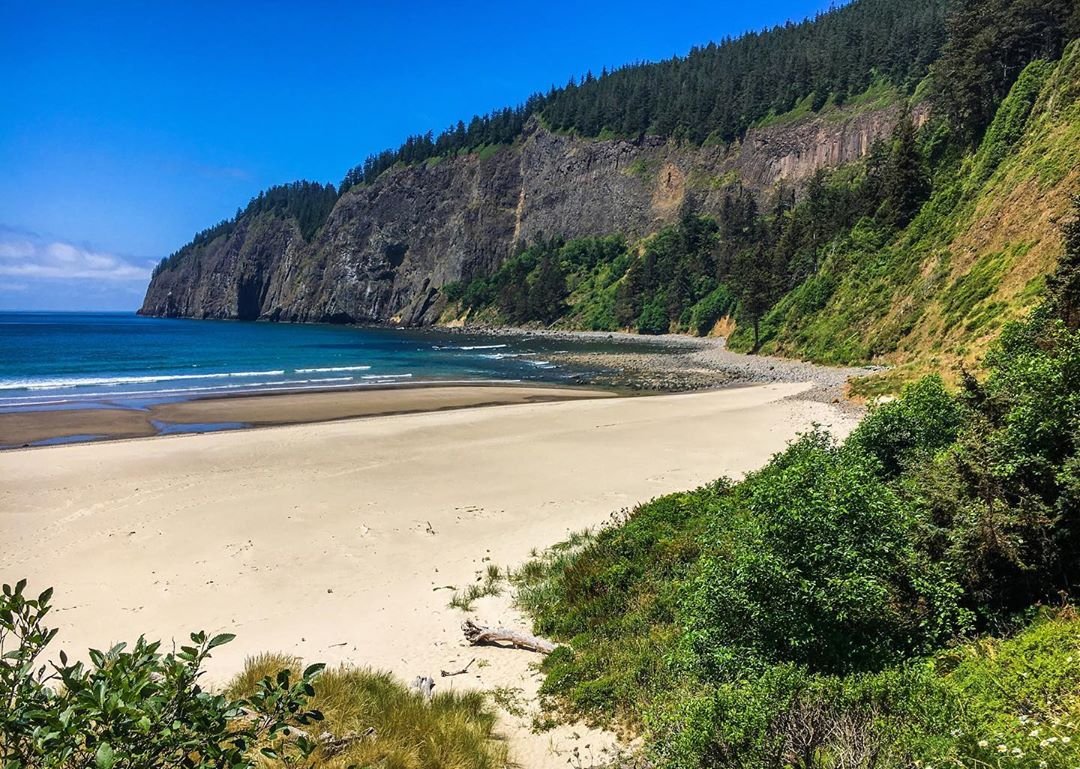 Cape Lookout State Park (RV Park) - Oregon Coast Visitors Association