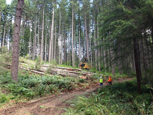 Starker Forestry Tour.jpg