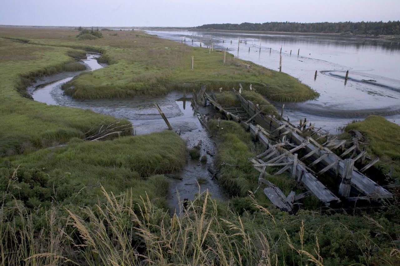 Bandon Marsh National Wildlife Refuge.jpg