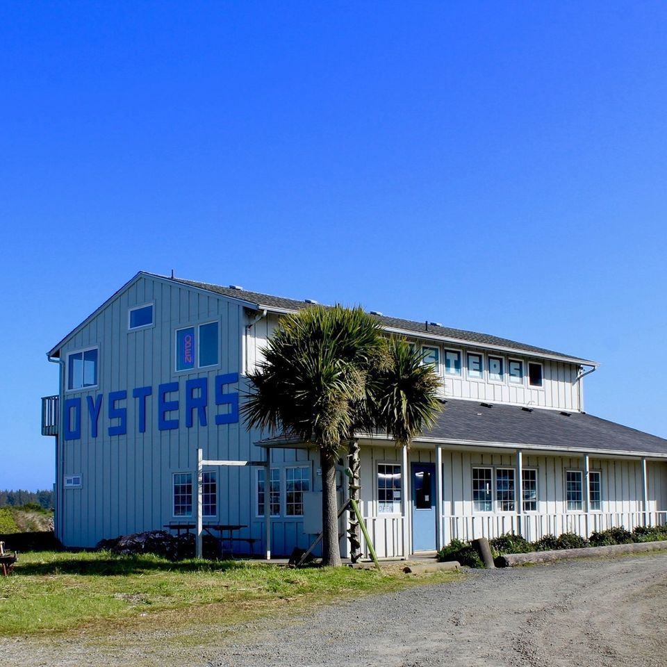 Umpqua Triangle Oysters from Umpqua Aquaculture.jpg