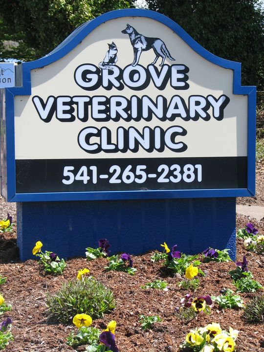 Grove Veterinary Clinic.jpg