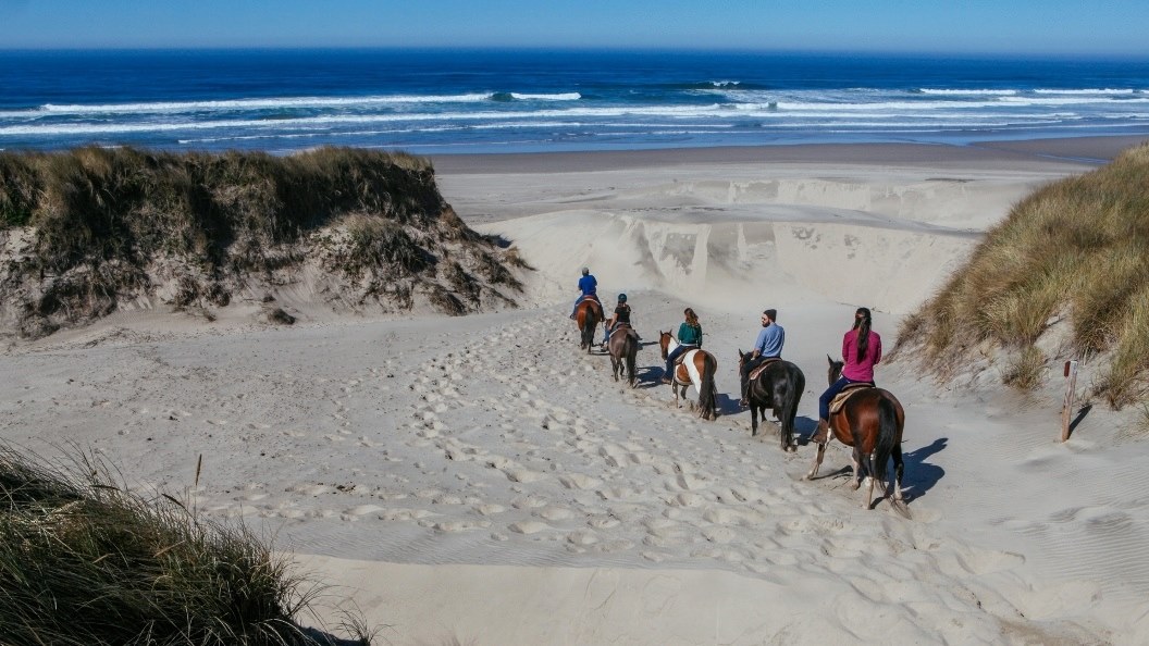 five people riding horses through the sand on an ocean beach