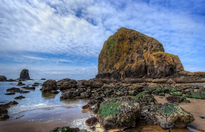 Oregon Coast Visitors Association - Visitor Information Center.jpg