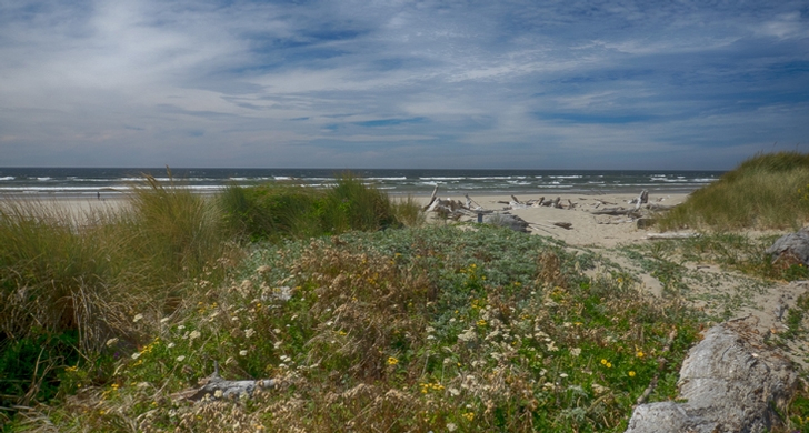 Bullards Beach State Park.jpg