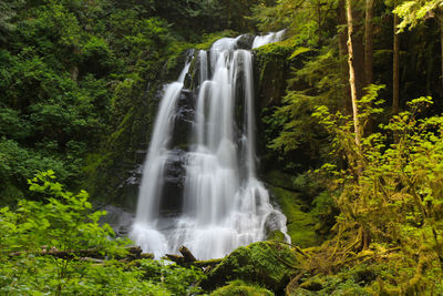 Kentucky Falls North Fork Smith Trails.jpg