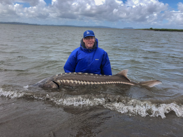 person standing in waist deep water holding a Sturgeon