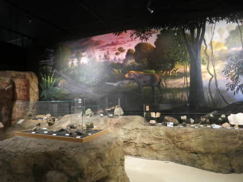 Exhibit at the Thomas Condon Paleontology Center