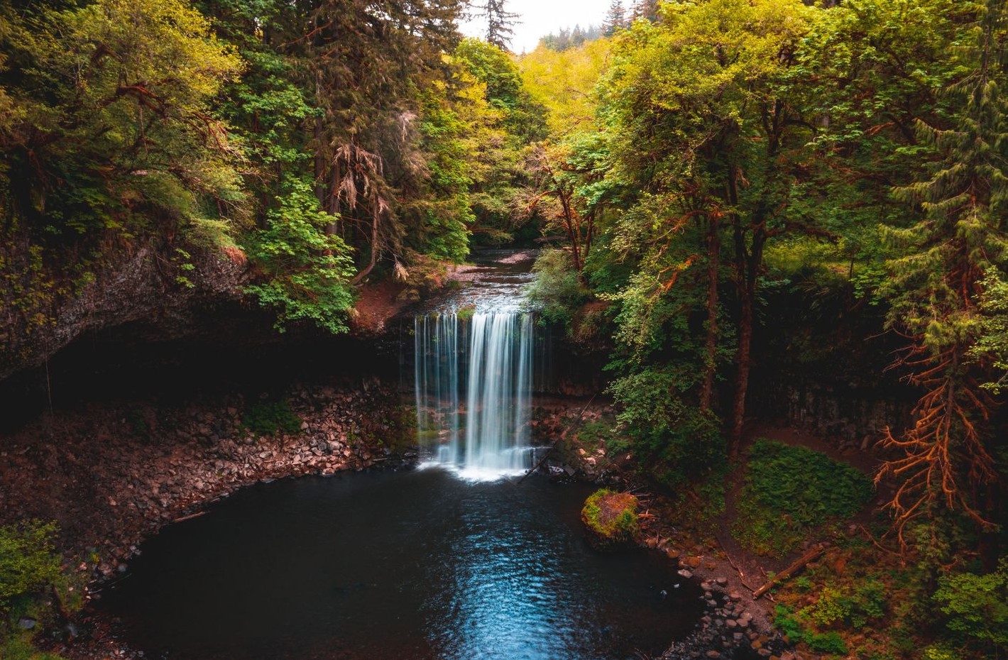 waterfall surrounded by forest