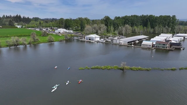 Paddlers exploring the Bay
