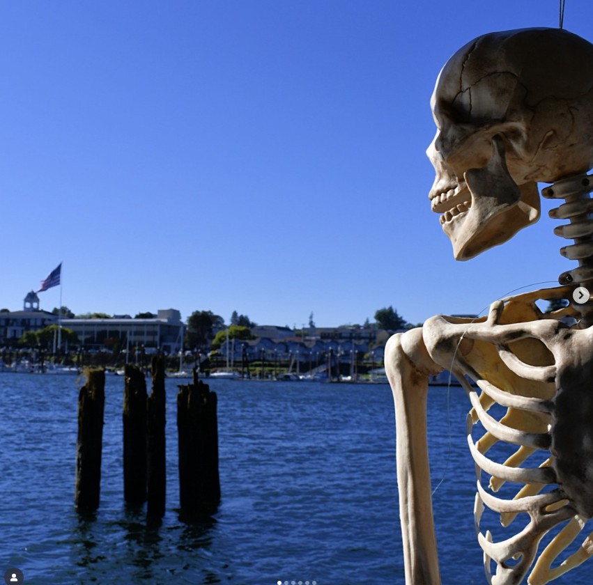 Skeleton overlooking the river