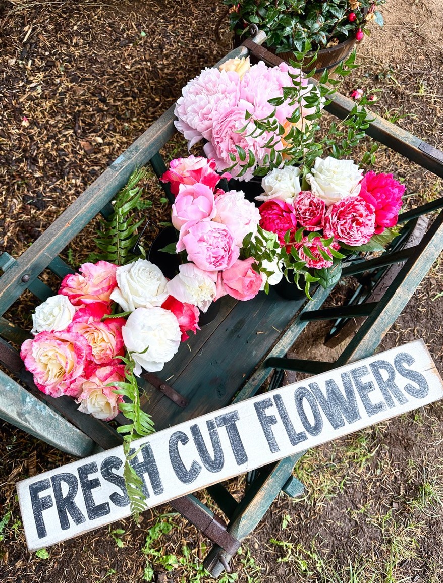 Fresh cut flowers in a wagon