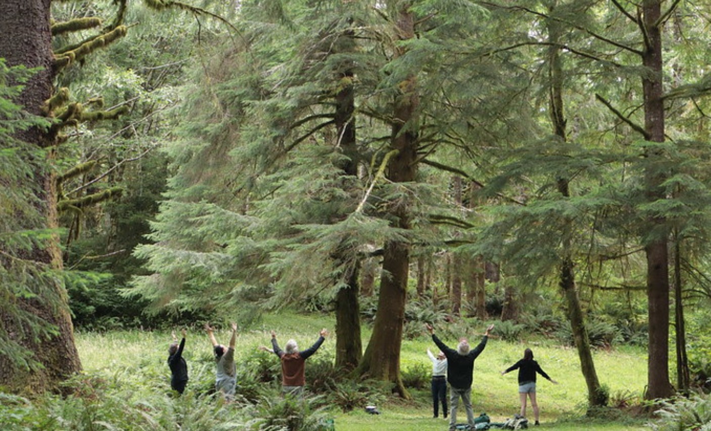 People raising their arms up and soaking up the forest air.