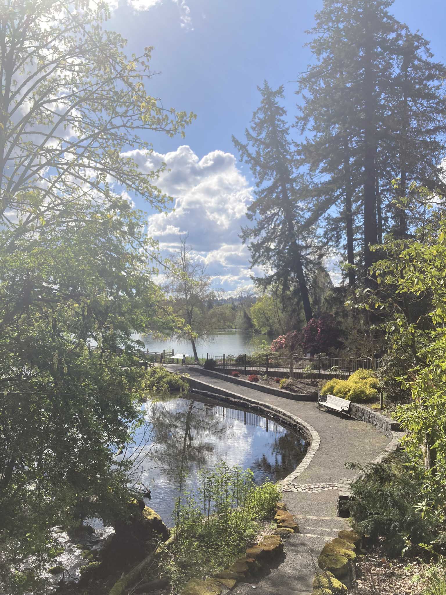 A view of the walking path at Crystal Springs Rhododendron Garden