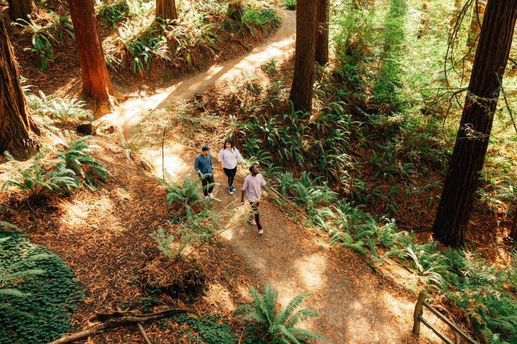 Three people hiking through Forest Park