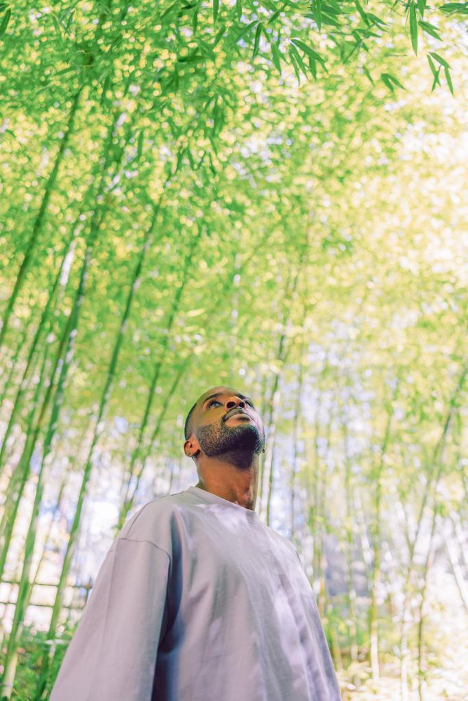 A man looking up at the foliage at Forest Park