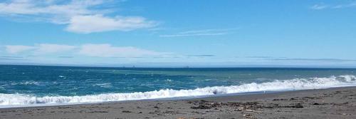 Wavecrest Discoveries