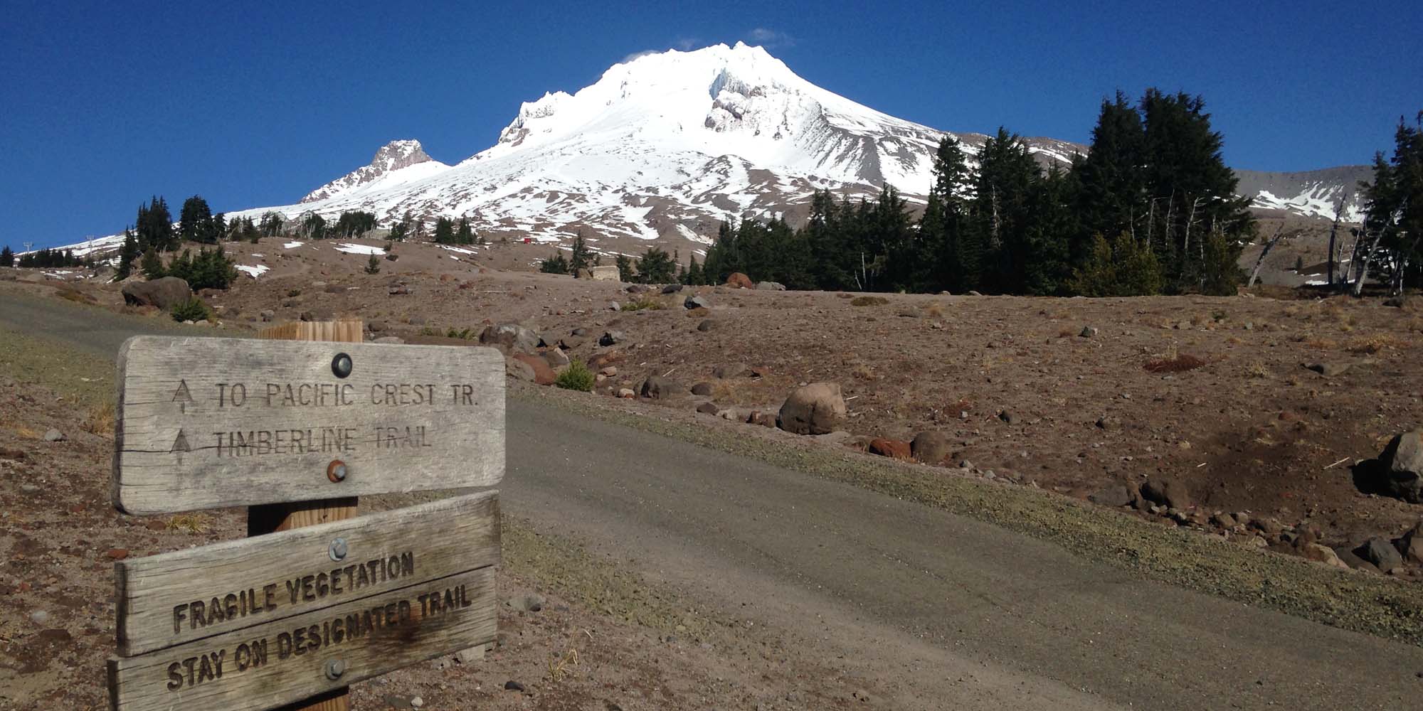 A view of the Pacific Crest Trail with Mt. Hood in the background.