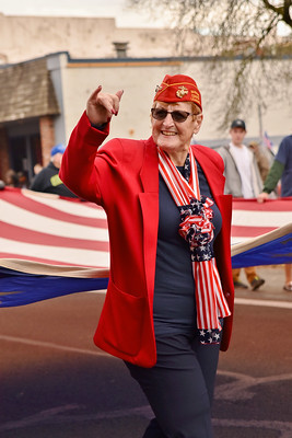 Photo of veteran in Albany Veterans Day Parade