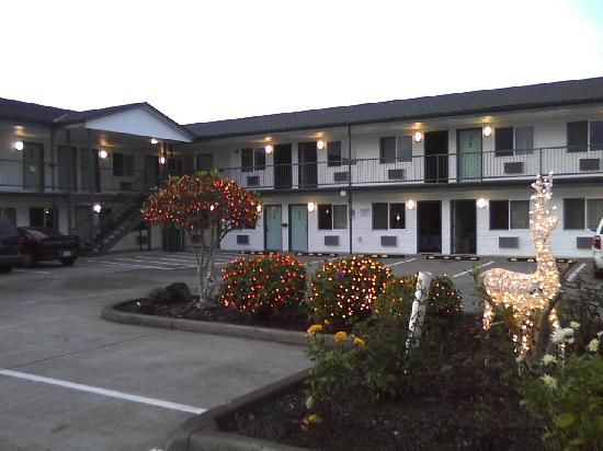 Photo of Motel 6, Albany, OR with holiday lights